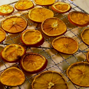 orange slices dried (2)